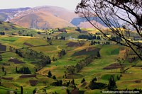 A bela terra verde como descemos no vale de Guaranda. Equador, América do Sul.