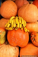 Versão maior do Enormes abóboras cor-de-laranja com um ramo de bananas amarelas nos mercados em Guaranda.