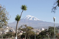 La mañana es el mejor momento para vistas al Volcán Chimborazo desde Riobamba del Parque 21 de Abril. Ecuador, Sudamerica.