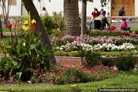The gardens and colorful flowers at Parque Maldonado in central Riobamba. Ecuador, South America.