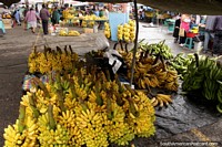 Bananas near and far, buy them at Pujili market, 15mins from Latacunga. Ecuador, South America.