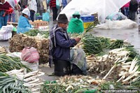 Versión más grande de Pilas de cebollas de primavera recién elegido, el hombre peelings suyo en el mercado de Saquisilí.