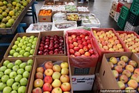 Larger version of A nice range of apples of all colors at Saquisili market.