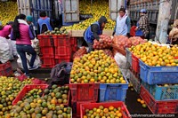As laranjas transbordam das costas de caminhões no mercado de Saquisili. Equador, América do Sul.