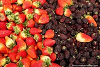 Morangos e boysenberries, ombro a ombro em Praça Kennedy, Saquisili. Equador, América do Sul.