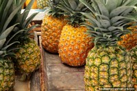 Yummy pineapples for sale at Plaza Kennedy in Saquisili. Ecuador, South America.