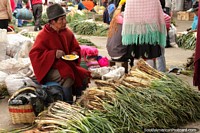 Man in hat and shawl eats rice and sells spring onions at Plaza Kennedy, Saquisili. Ecuador, South America.