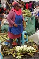 El pueblo de maíz cáscara del maíz y lo venden en la Plaza Gran Colombia en Saquisilí. Ecuador, Sudamerica.