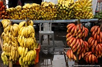 Ramos de redução de bananas rosa e amarela da árvore em mercado de Saquisili, cada quinta-feira. Equador, América do Sul.