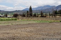 Terra de cultivo e pastagens até as colinas ao longo de Via 10 a San Lorenzo. Equador, América do Sul.