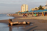 Beginning of the golden hour at Atacames Beach, where all that glitters turns to gold. Ecuador, South America.