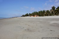 A beautiful beach and totally deserted, El Matal 40mins north of Canoa. Ecuador, South America.