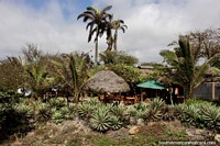 Acomodação junto de praia de Canoa com palmeiras e jardins bonitos. Equador, América do Sul.