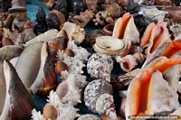 Coleção de conchas e pequenos figuras cerâmicos de venda em Montanita. Equador, América do Sul.