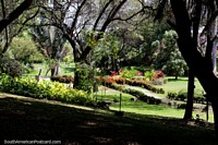 Beautiful green open space at the botanical gardens in Portoviejo. Ecuador, South America.
