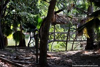 Ponte junto do tanque e sombra de fetos e árvores nos jardins botânicos, Portoviejo. Equador, América do Sul.
