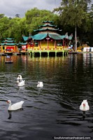 Chinese temple and lagoon with ducks at Jipiro Recreational Park in Loja. Ecuador, South America.