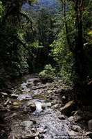 Rio de Rocky em parque nacional Podocarpus na Zamora. Equador, América do Sul.