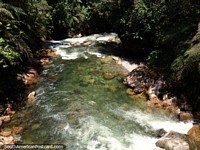 Bombuscaro River at Podocarpus National Park, view from the El Campesino Bridge. Ecuador, South America.