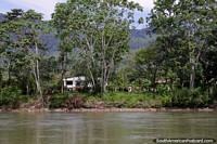 Casa em uma bela colocação abaixo de altas árvores junto do rio em Yantzaza. Equador, América do Sul.