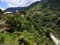 O cenário mais verde do que você pode imaginar e passeios de pálio de aventura em Banos. Equador, América do Sul.