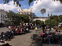 Colorful people, beautiful trees, stone fountain, historic buildings, central Quito. Ecuador, South America.