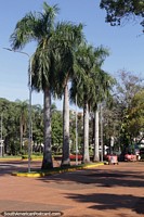 Versión más grande de Muchos árboles, incluidas palmeras, alrededor de la Plaza de Armas de Encarnación.