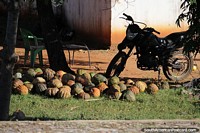 Pumpkins with a mix of color shades around Horqueta.