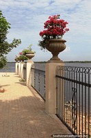 Viewpoint at the riverbank with flowers along the fence in Concepcion. Paraguay, South America.