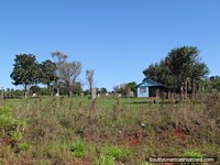 A small blue house and cows on a farm between Trinidad and Jesus, Encarnacion. Paraguay, South America.