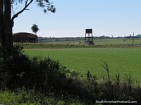 A water tower and crop fields as we come towards Santa Rosa. Paraguay, South America.