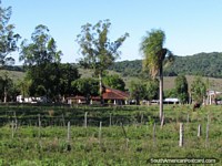 A nice farm and house in the country between Caapucu and Quiindy. Paraguay, South America.