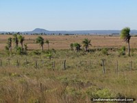 Campos entre el camino y montañas entre Caapucu y Quiindy. Paraguay, Sudamerica.
