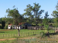 Abrigo de gado e cercas em uma fazenda entre Caapucu e Quiindy. Paraguai, América do Sul.