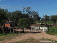Dona Olga Ranch em Gran Chaco ao sul de Filadelfia. Paraguai, América do Sul.