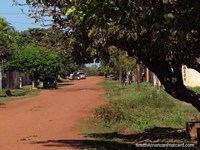 Árboles e hierba en las calles de arcilla donde la gente de Concepción viva. Paraguay, Sudamerica.