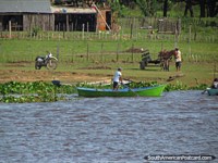 Un caballo y el carro esperan una carga al lado del Río Paraguay en Concepción. Paraguay, Sudamerica.