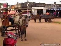 Horses and carts pull up and chill-out while waiting for their next job, Concepcion. Paraguay, South America.