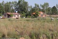 Um par de casas em conjunto na zona rural do Paraguai, não tão habitual, ao norte de Villarrica. Paraguai, América do Sul.