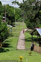 Pathway into an Amazon community from the river between Santa Rosa and Iquitos.
