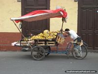 Plátanos y otra fruta en un carro de la bicicleta, Camana. Perú, Sudamerica.