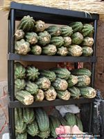 A rack of cut San Pedro cactus. Peru, South America.