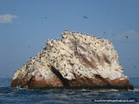 Amazing rock islands that the birds love at Islas Ballestas. Peru, South America.