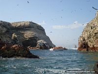 Groups of boats travel slowly and quietly around the Islas Ballestas. Peru, South America.