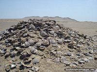 Huge pile of shells in the desert of Paracas National Park in Pisco. Peru, South America.