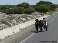 Carreta puxada pelo cavalo na estrada de Pan American ao sul de Piura. Peru, América do Sul.