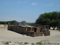 La casa hizo de palos y paja en el desierto del norte al sur de Piura. Perú, Sudamerica.