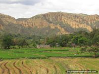 Las formas de la montaña pasan por alto granja y arrozales al norte de Jaén. Perú, Sudamerica.
