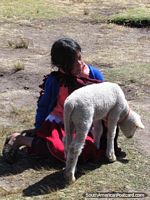 Versão maior do Menina de camponês local com cordeiro em Cumbemayo, Cajamarca.