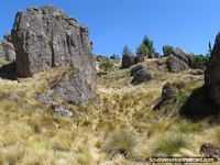 Larger version of Cumbemayo rock gardens in Cajamarca.